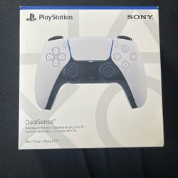 PS5 Controller 
