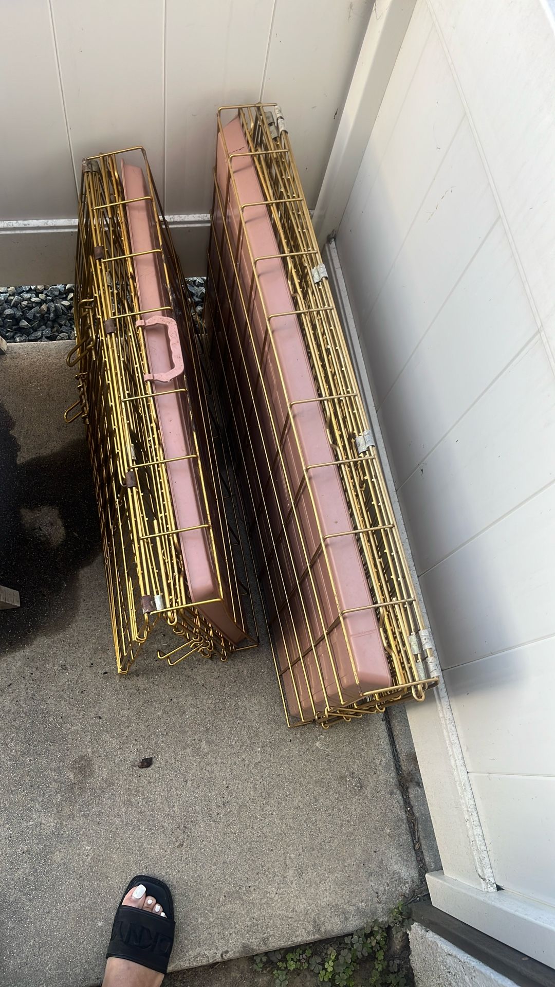 Dogs Cages For Sale