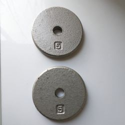 5lb Cast Iron Weight Plates, Set Of 2