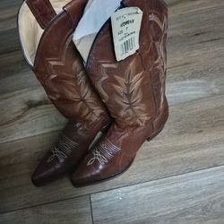 Women Stetson Boots