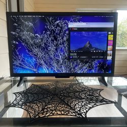 Insignia 24” Monitor