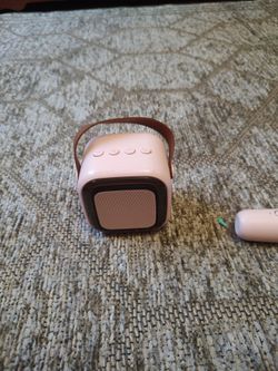 Microphone and speaker