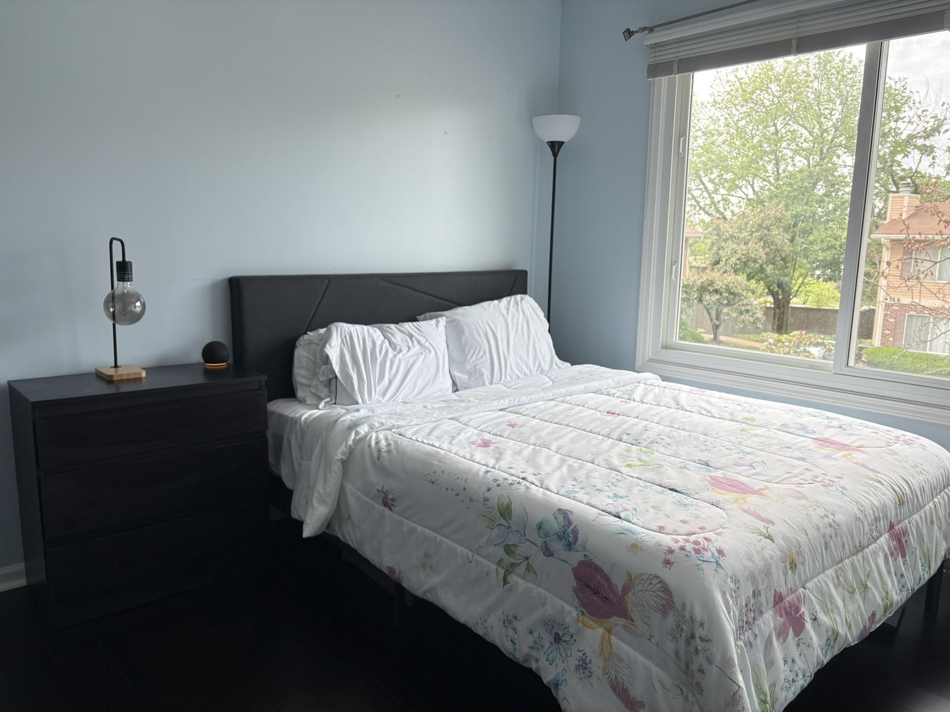 Queen Bed