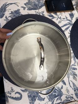 Princess House 4qt Pot (new)