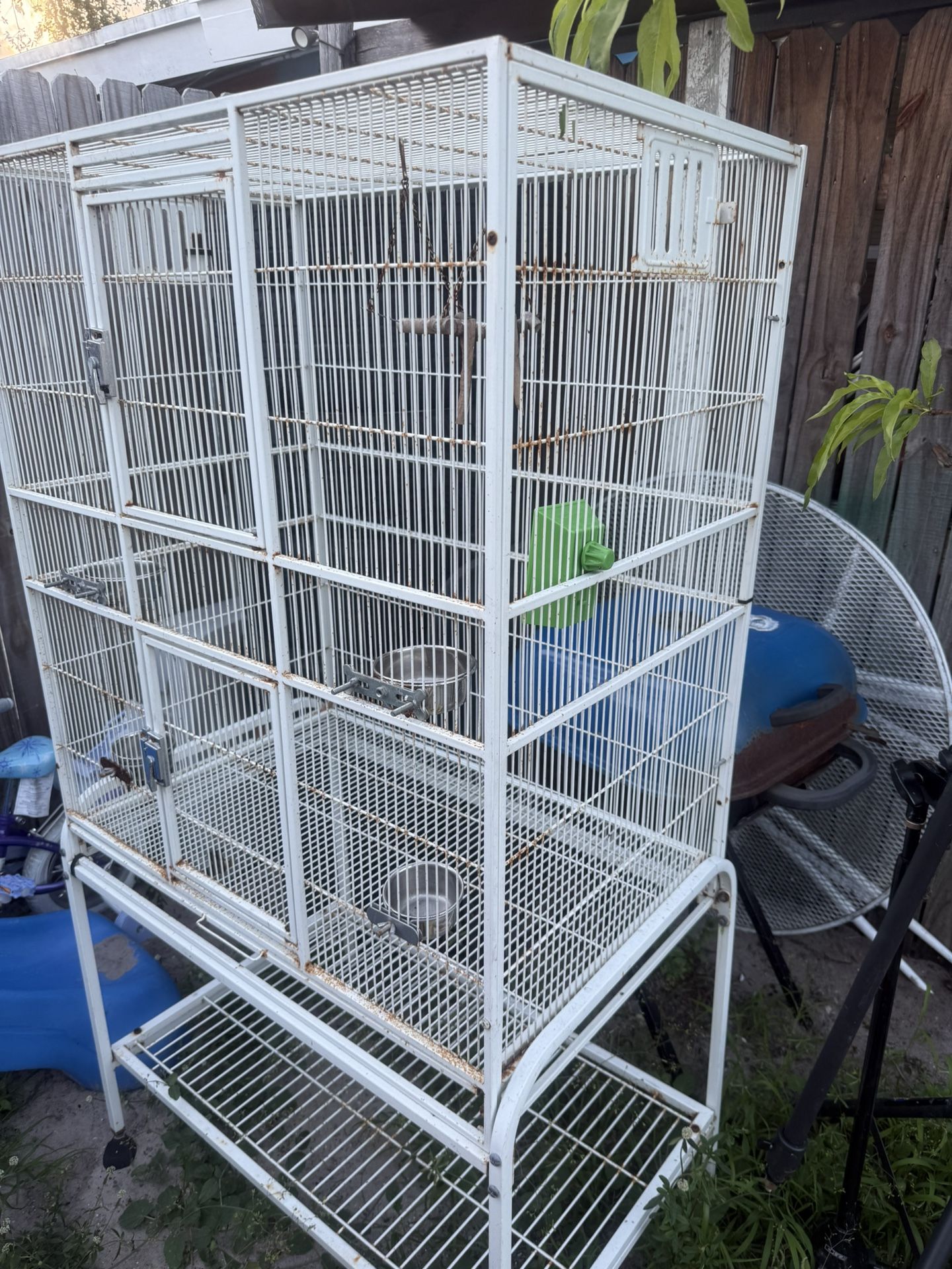 cage for bird