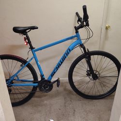 Fast Riding Schwinn Bike 