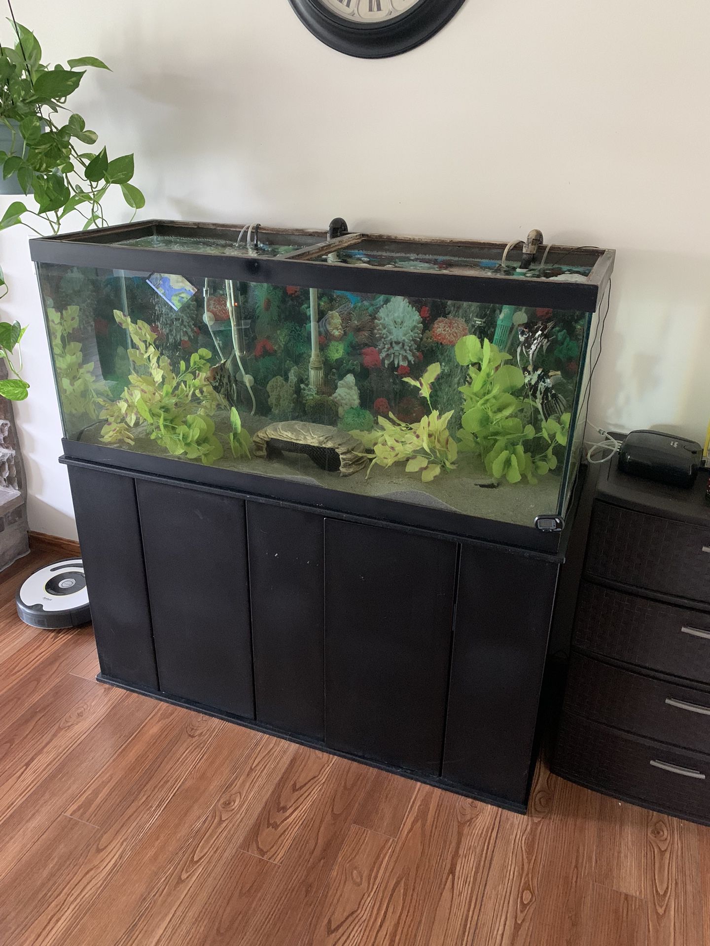 75 Gallon Fish Tank  (available)
