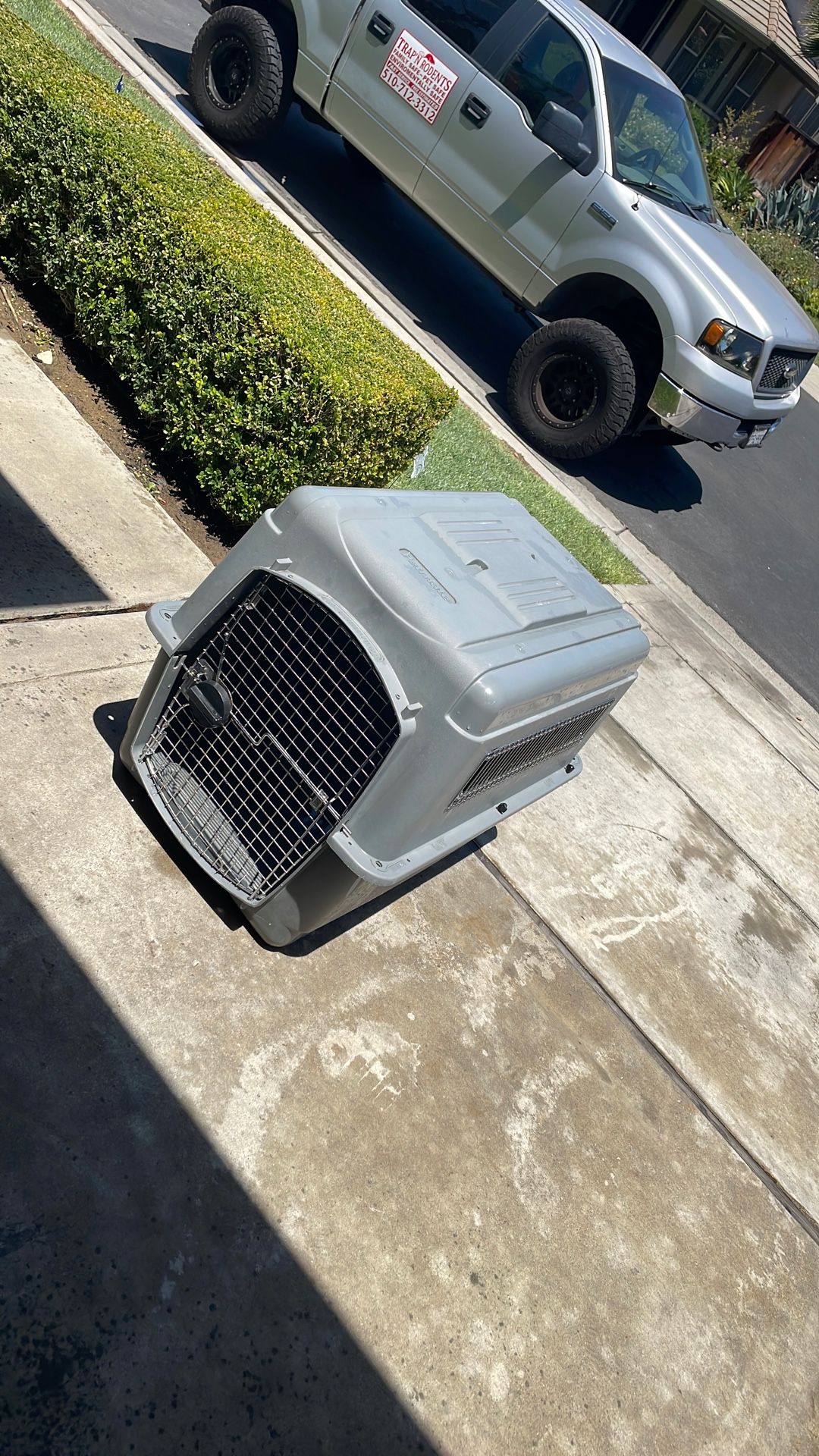 Large Animal Crate