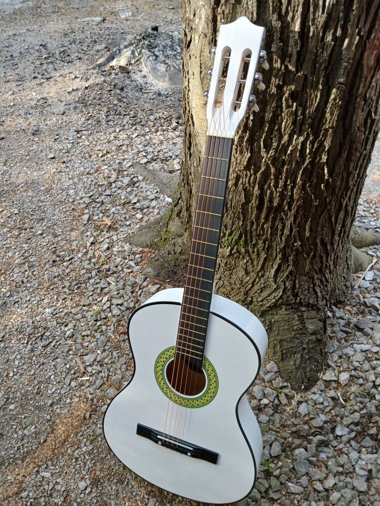 Brand New Acoustic Guitar