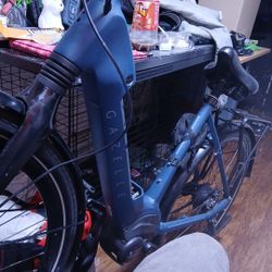 Gazelle Ultkmate C380