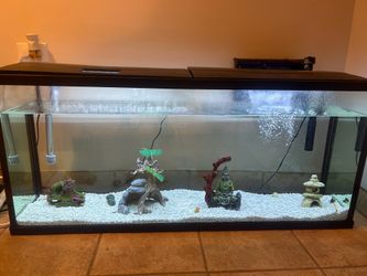 Fish Tank 55 gallon