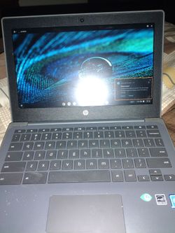 HP Chromebook