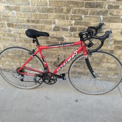 Schwinn Fastback Road Bike