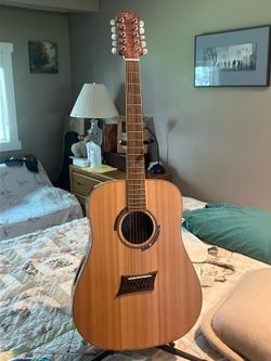 Michael Kelly 10-string a-e Guitar
