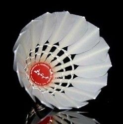 WECAN Shuttlecocks for Badminton 12 pack