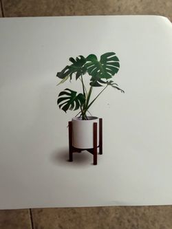 Plant stand New