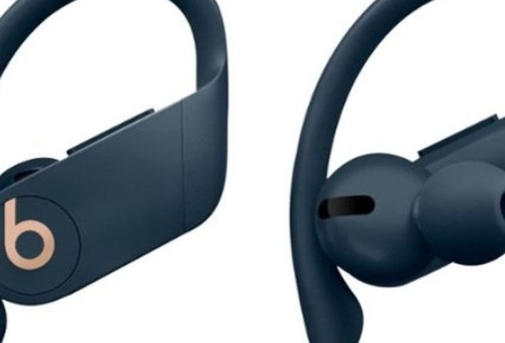 Beats By Dre Power Beats Pro Totally Wireless Earbuds