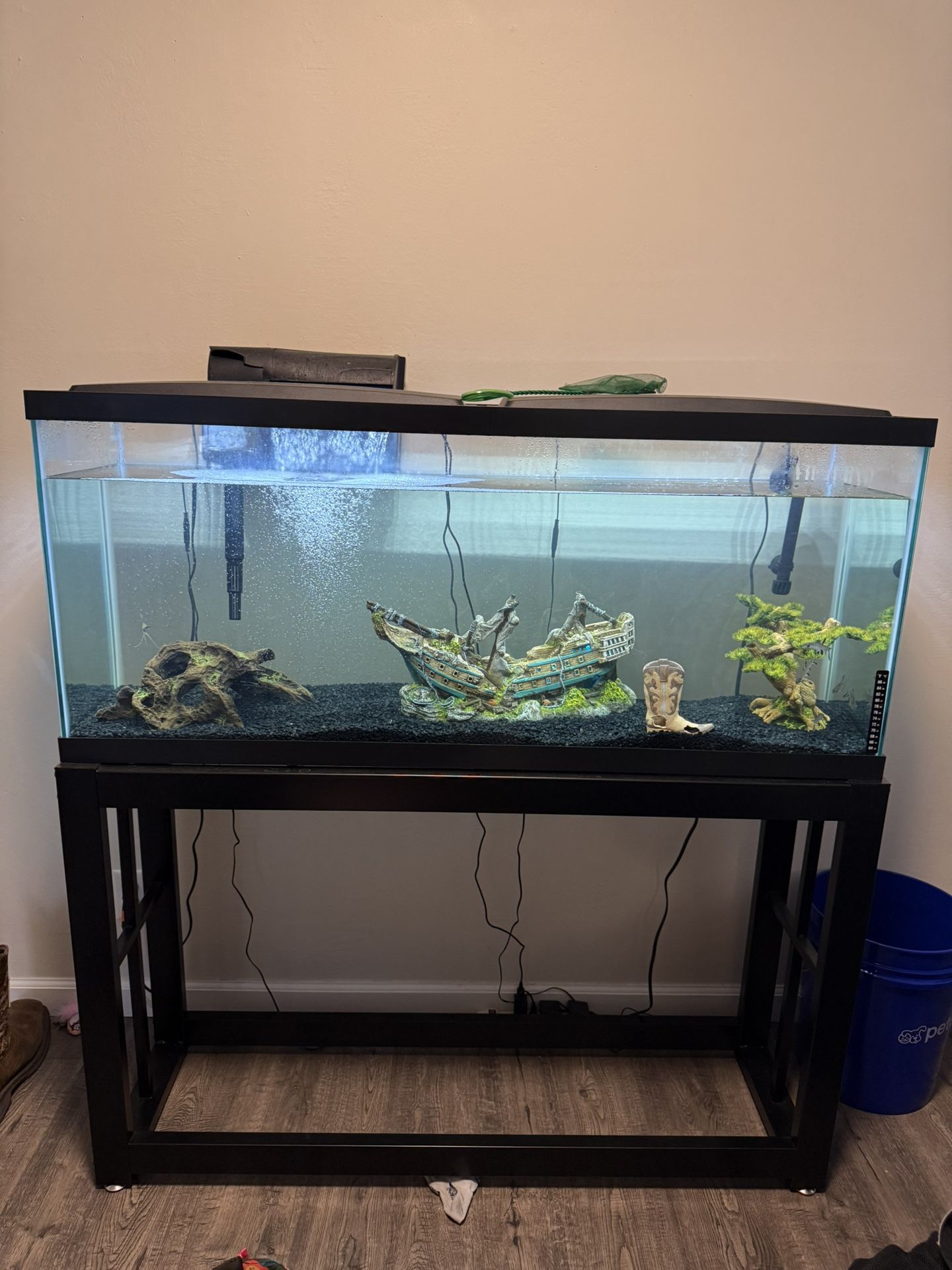 55 Gallon Fish Tank