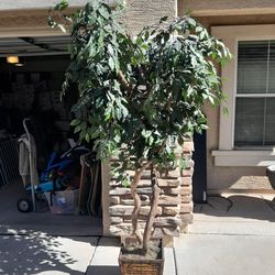 2 1/2 ft tall Artificial Plant $5 or 7ft Artificial Tree $40 See All Photos