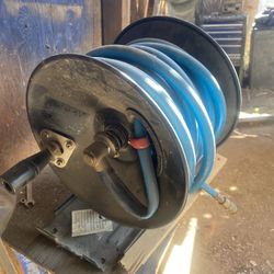 Horse Reel