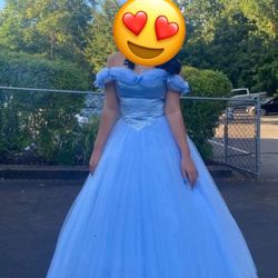 Quinceañera Dresses / Sweet16 Dresses 