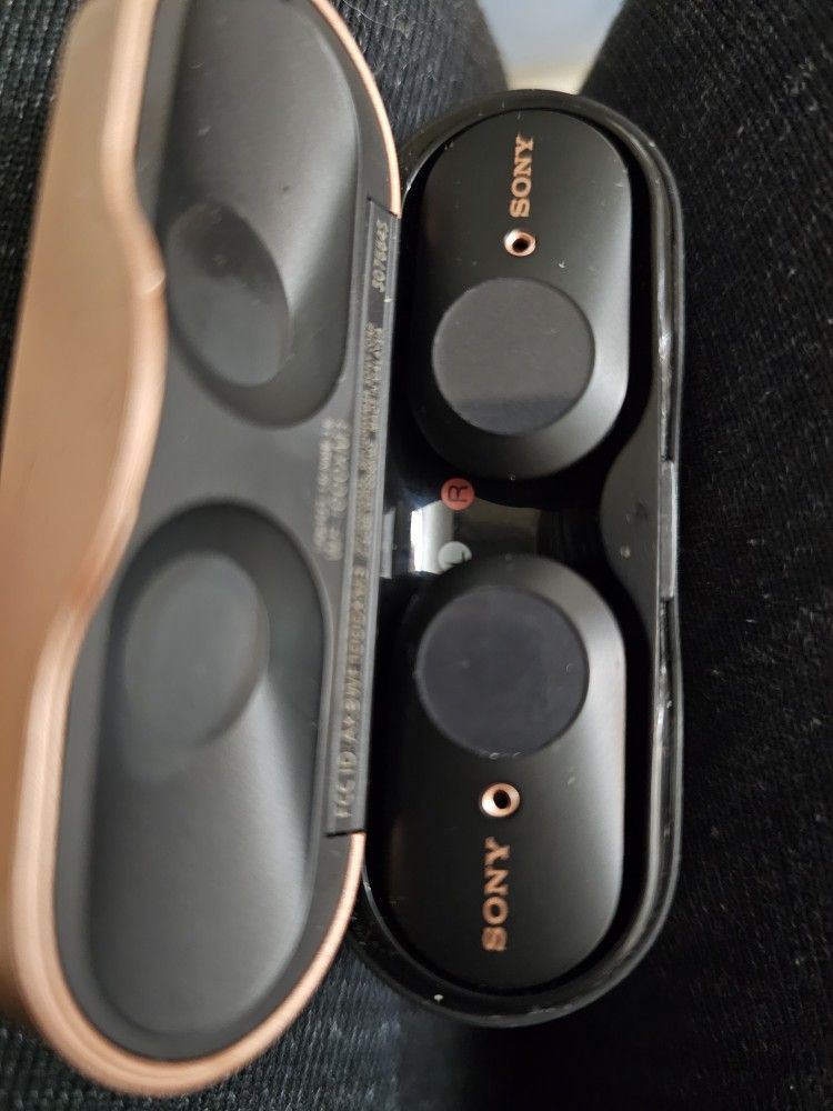 1
Sony WF-1000XM3 True Wireless Earbuds