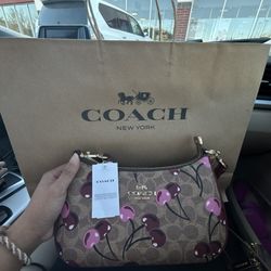 Coach Cherry Brown Bag