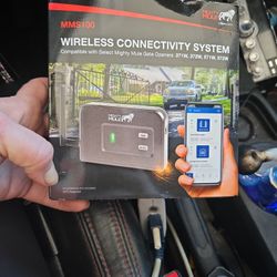 Wireless connectivity system