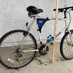 Schwinn Mountain Bike 