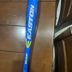Baseball Bat