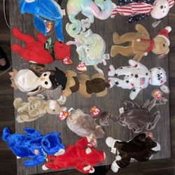 Beanie Baby’s Mint Condition Collection 