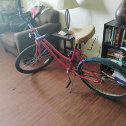 Adult Bike