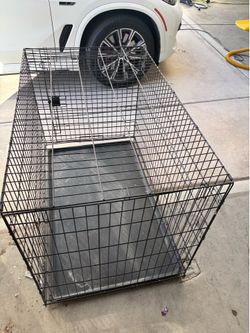 EXTRA large collapsible dog crate