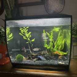 Freshwater Fish Tank - Fluval Flex 15g