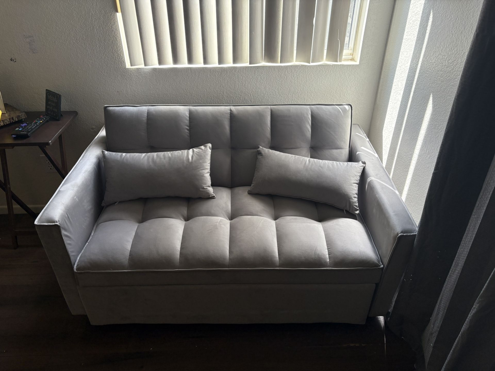Fold out couch 🛋️