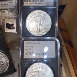 Two Individual Walking Eagles Slabs/2021/2024P Eagle Star Privy 2021 Landing