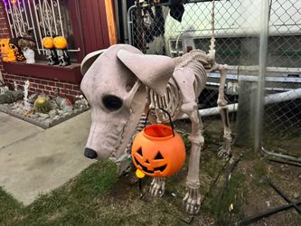 7 ft Home Depot skeleton skelly dog 2024 Halloween decoration