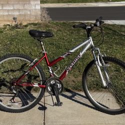 Mishiki Bravo Mountain Bike - With New Chain