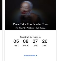 Doja Cat Tickets (2) (Denver - Ball Arena - November 10)