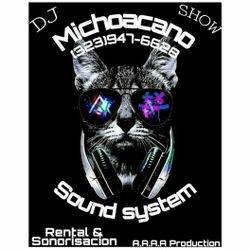 Dj Show Sound System 