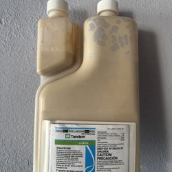 Pest Control Service