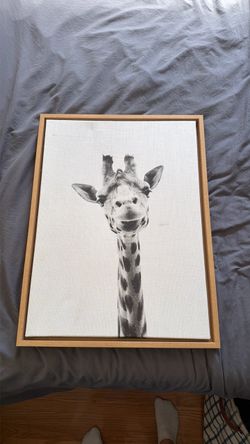 Giraffe picture