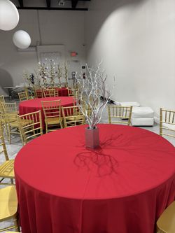 Silver manzanita tree