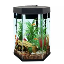 New Fish  Tank With Corals And Everything Inside Brand New 