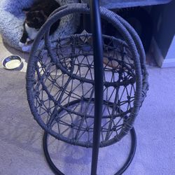 Cat Cradle