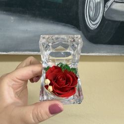 Valentines- Eternal Rose