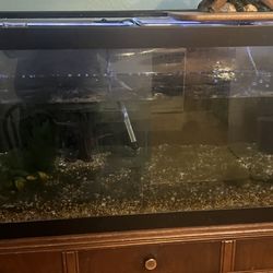 100 Gallon Fish Tank