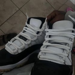 Jordan 11 Concords