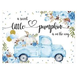 A Little Pumpkin Is On The Way Background 