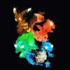 FoxResales